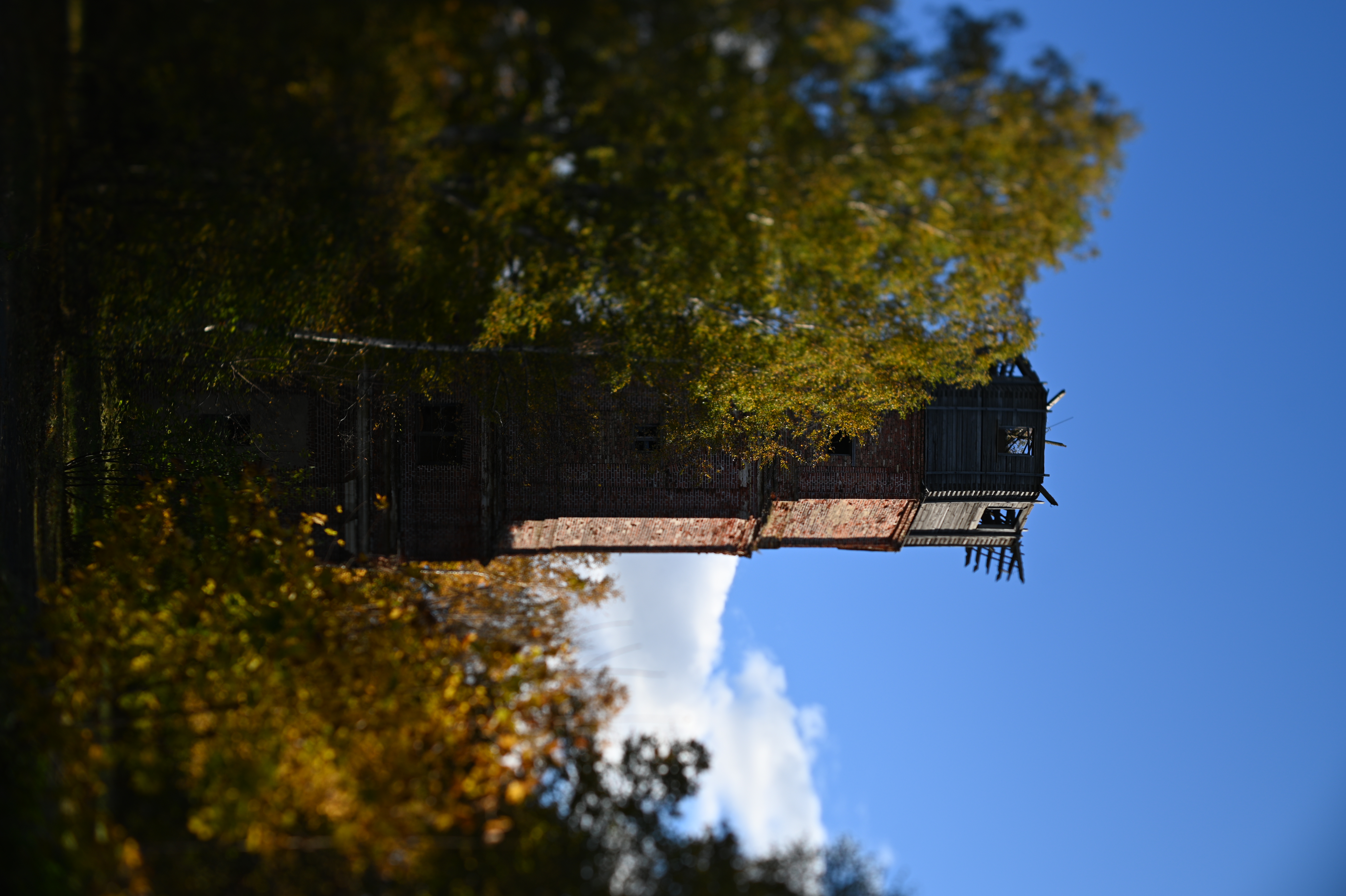 2025/10/18 - walk/DSC_0080.JPG